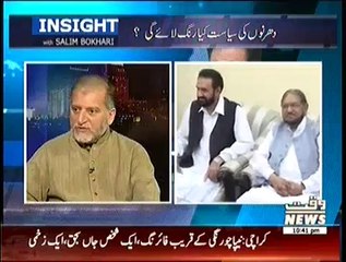 Insight – 4th October 2014