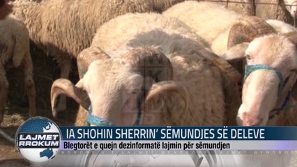 I SHOHIN SHERRIN SËMUNDJES SË DELEVE