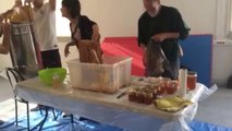Extraction du miel à l'Institut de Pédagogie sociale (ter)