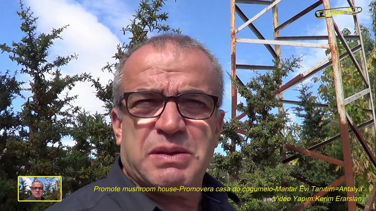 Promote mushroom house-Promovera casa do cogumelo-Mantar Evi Tanıtım=Antalya