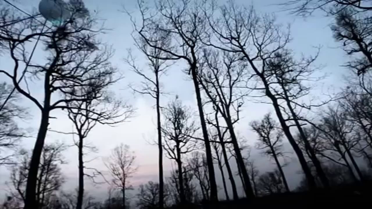 Gibonni - Vesla na vodi