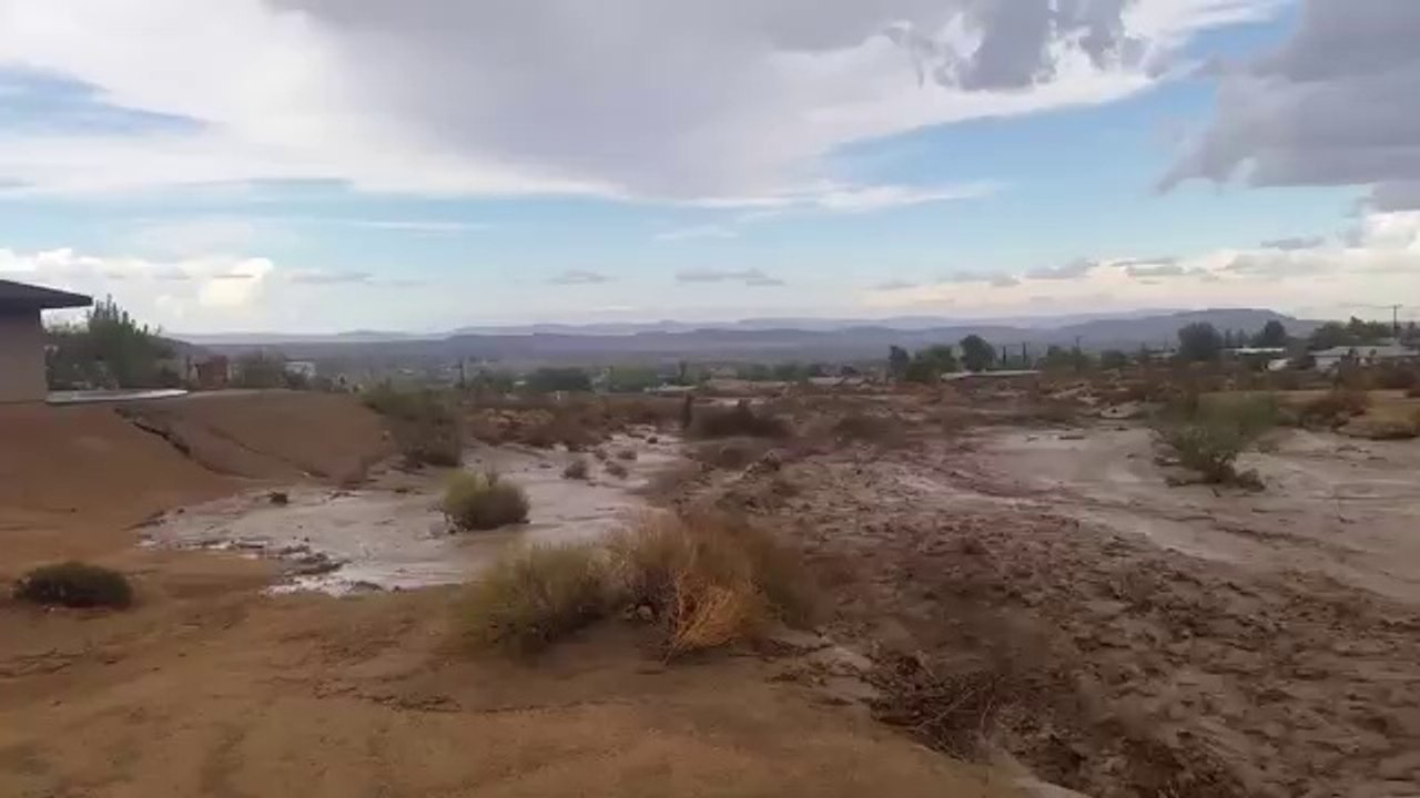 Wall of water in Joshua tree