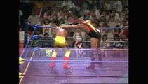 WCW Clash of the Champions 15 [1991 06 11] Knoxville USA
