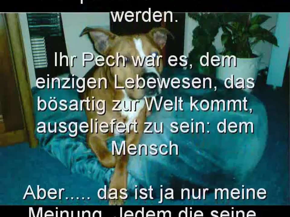 nochmal meine