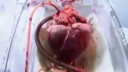 Wow! Amazing! .. must watch