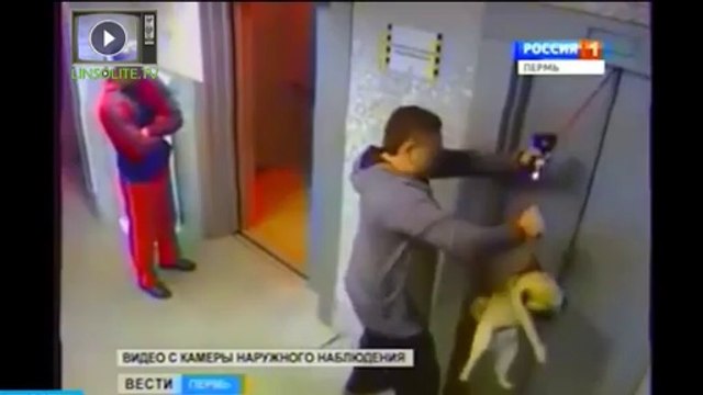 Enorme réflexe pour sauver un chien coincé dans un ascenseur