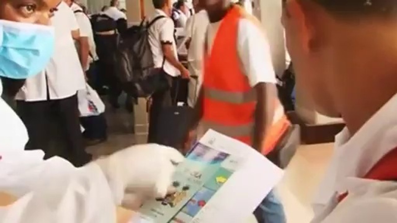 Llegada de los sanitarios cubanos para atender ábola en Sierra Leona