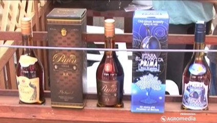 Zakon za rakiju_368_04.10.2014.