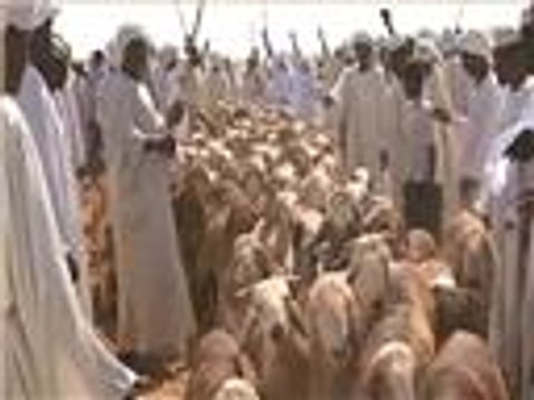 ارتفاع حاد لأسعار الأضاحي في السودان