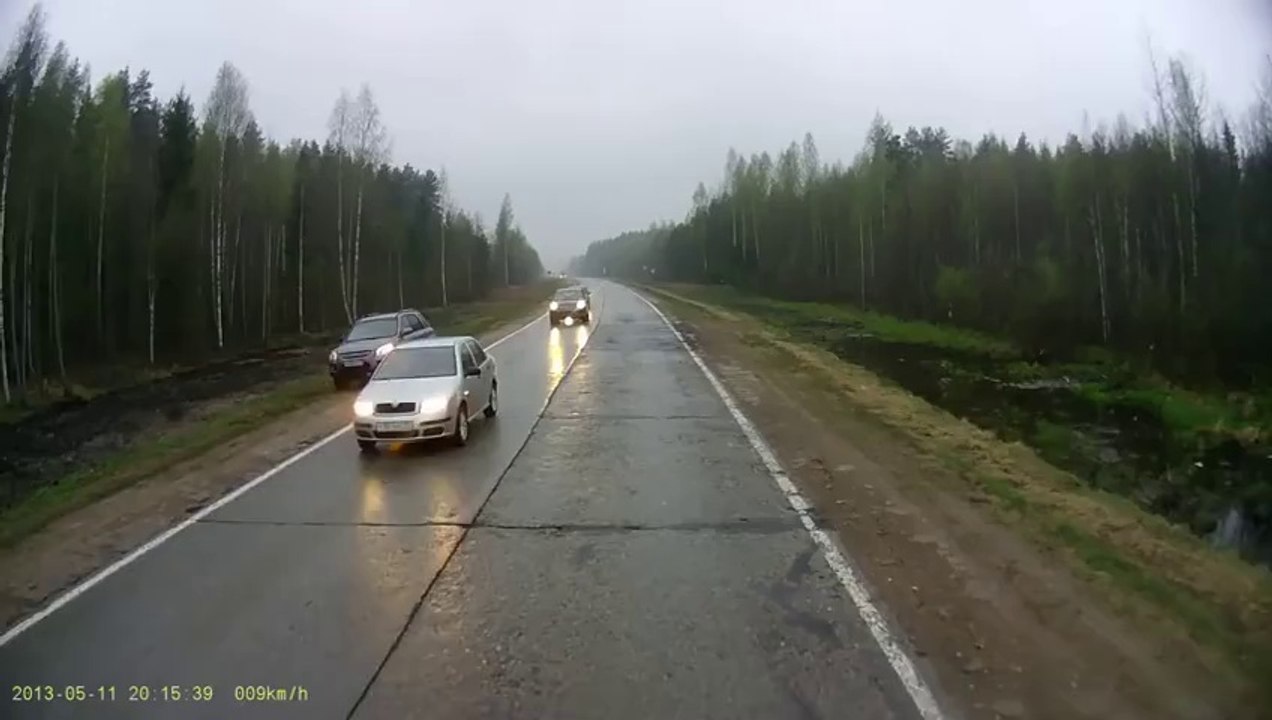 Moose on icy road