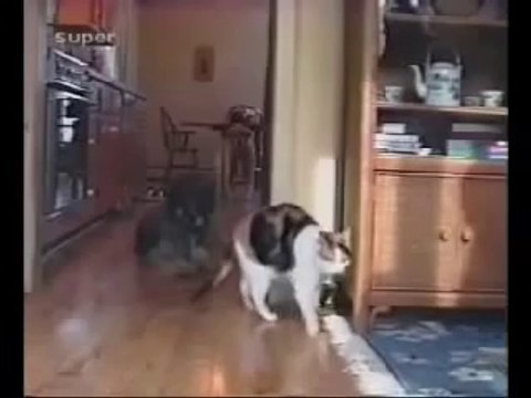 Very Funny Clip. Must Watch.mp4 elephat playing