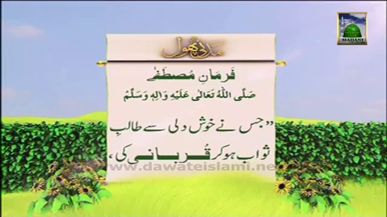 Information About Qurbani 06 (Urdu) - Madani Phool - Golden Words