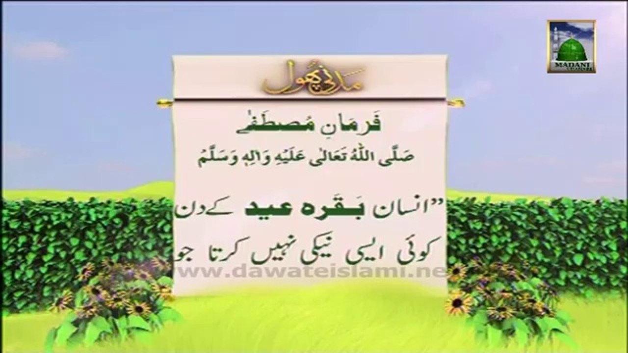 Information About Qurbani 08 (Urdu) - Madani Phool - Golden Words