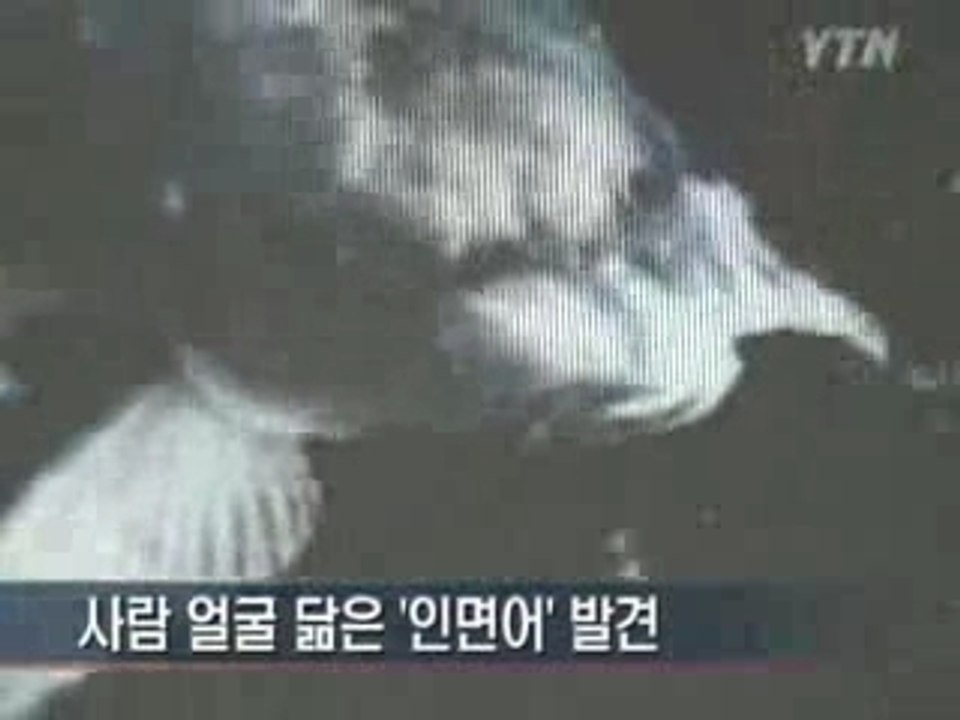 Poisson à visage humain