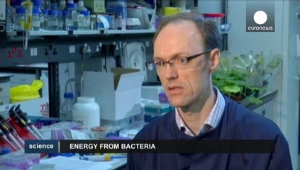 قدرت جادویی عنکبوت در تولید ابریشم و تازه هایی از دنیای انرژی