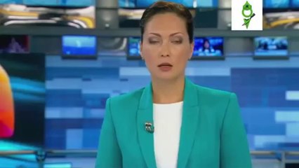 Новости-Новостей. Немцы на Украине 2014. 05.10.2014