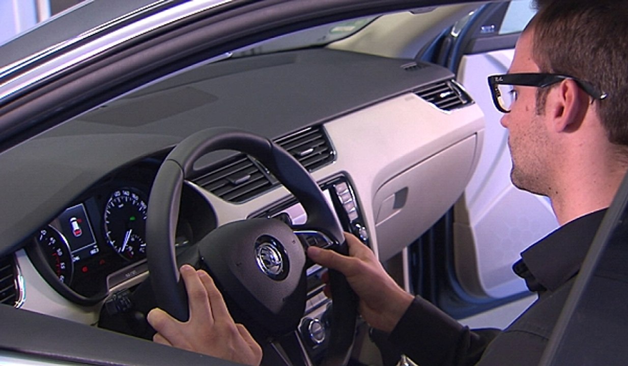 Sprachsteuerung: Mein Auto spricht - aber wie ?