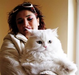 Kedinin Tahliye Kararını Yargıtay Bozdu