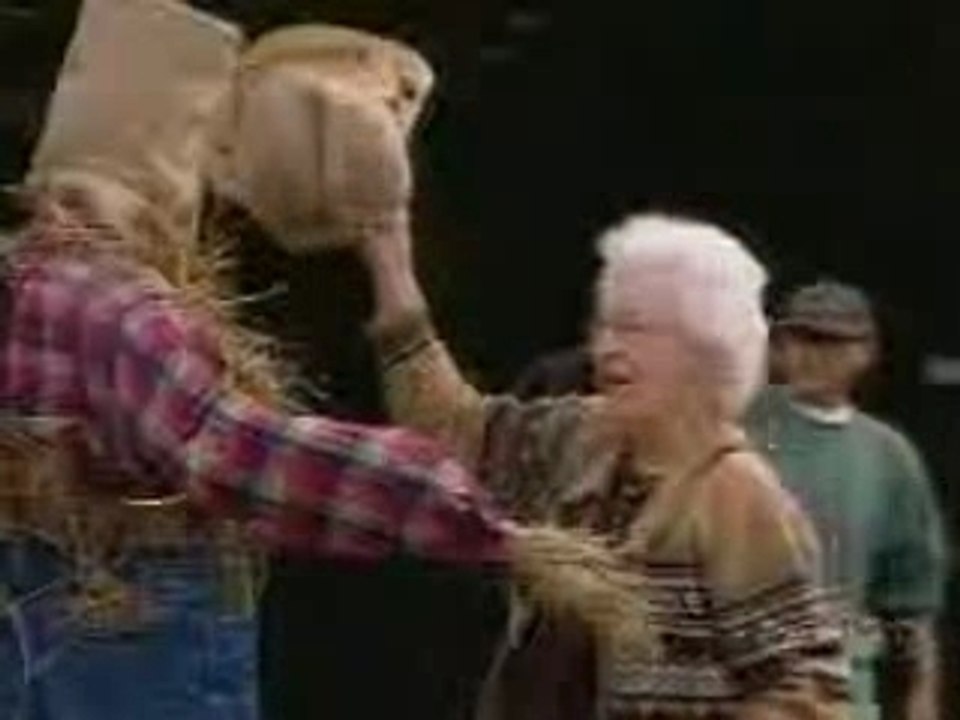 Apanhados-Espantalho