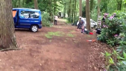 Thijs hakt een boom om