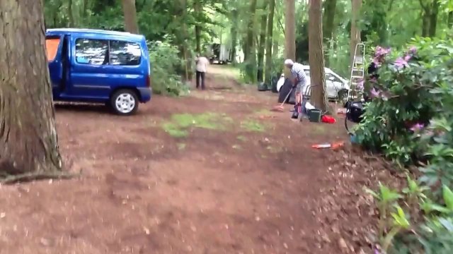 Thijs hakt een boom om