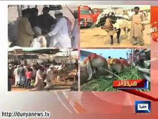 Dunya news Headlines 05 Oct, 2014, 16:00 PM