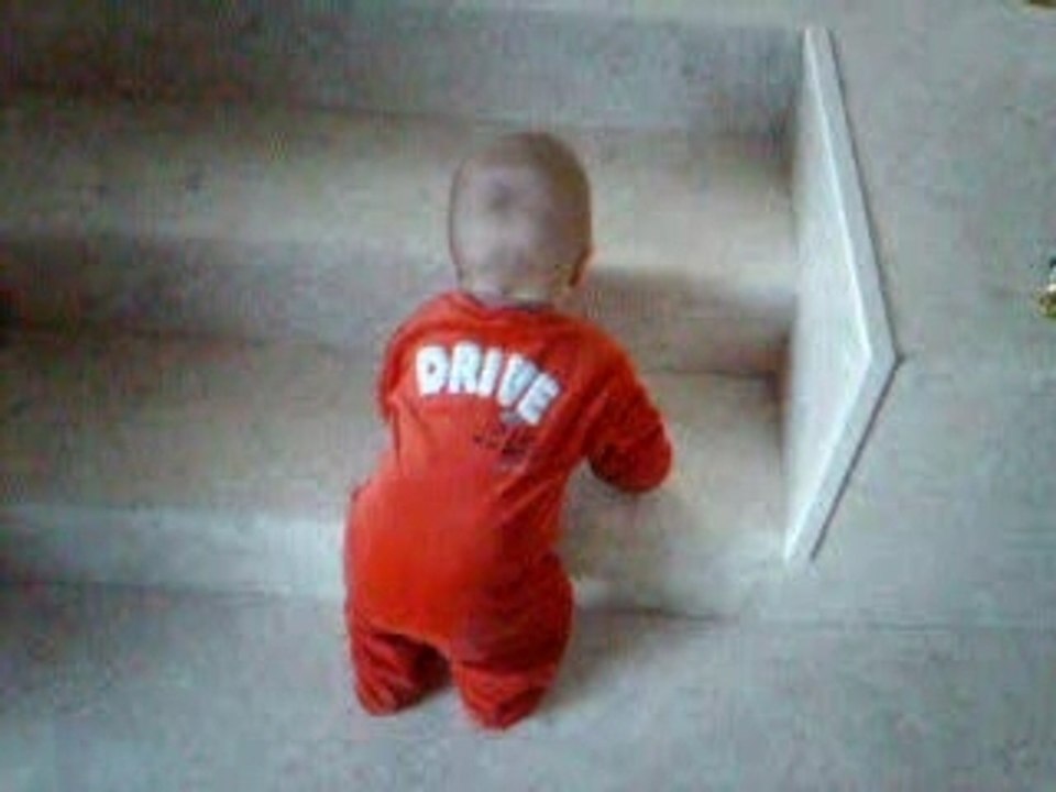 Montée des marches...et c'est la chute