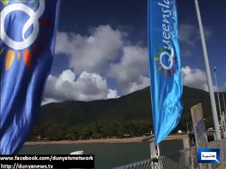 Dunya News - Australia’s Great Reef declared home to largest sea-animal on Earth