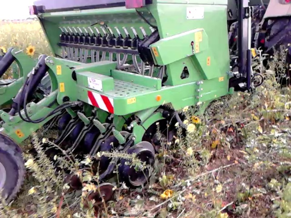 Semis direct de blé sous couvert