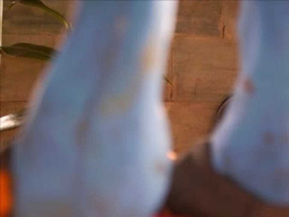 Bande annonce dog eat steak