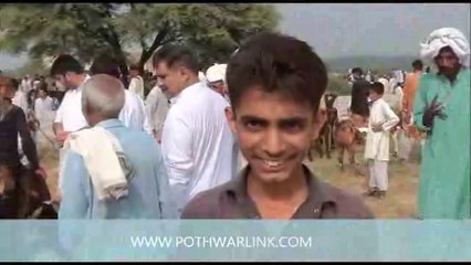 GOAT MARKET KALLAR SYEDAN