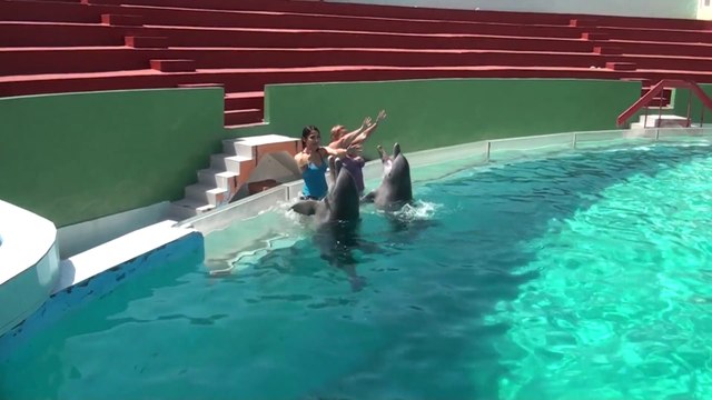 Stage de Salsa à Cuba Juillet 2014 .Salsa ,baignade avec les dauphins et fetes .WWW.DANSACUBA.COM