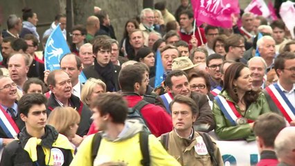 La Manif pour tous défile à Paris