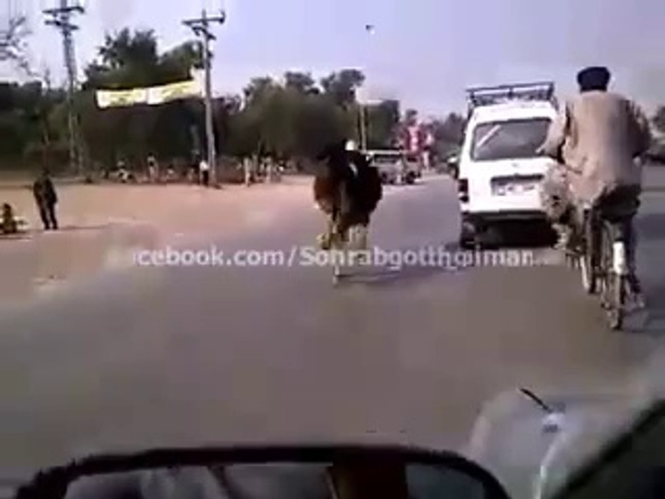 Out of Control Bull Jump from Suzuki and Running on Main Road