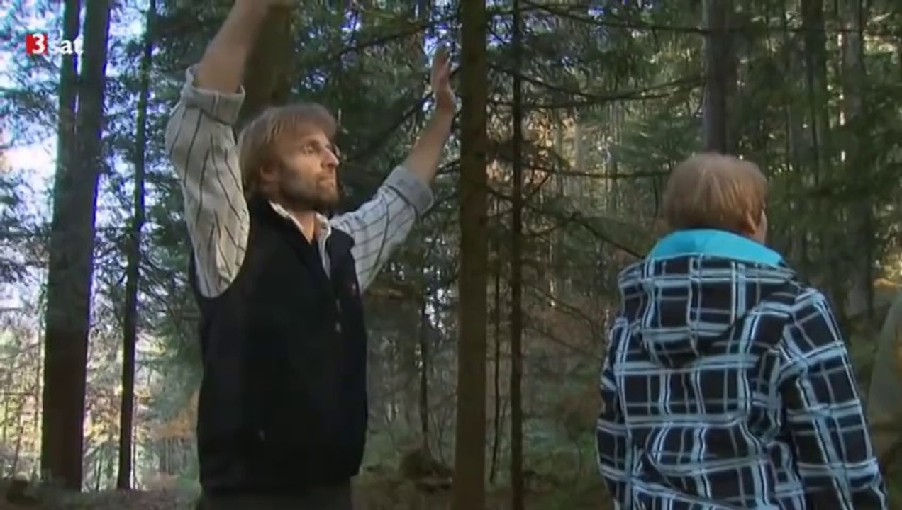 Geister - parawissenschaften und esoterik