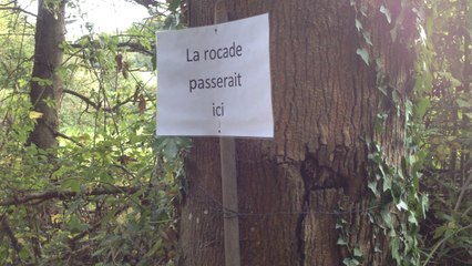 Plus de 600 marcheurs contre la rocade