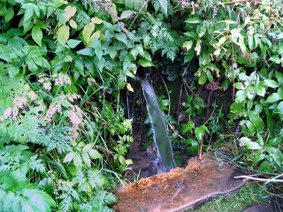 мой идеальный день