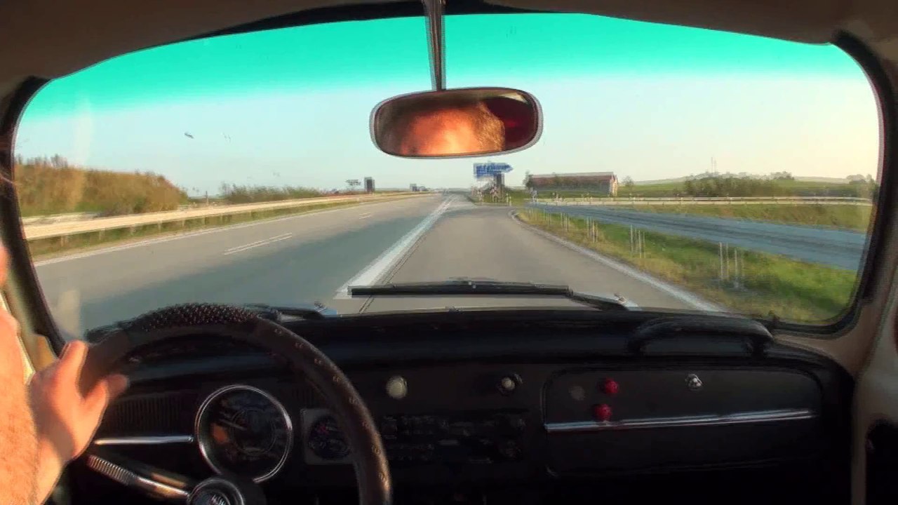 Käfer Dumbo Dauer Vollgas Test