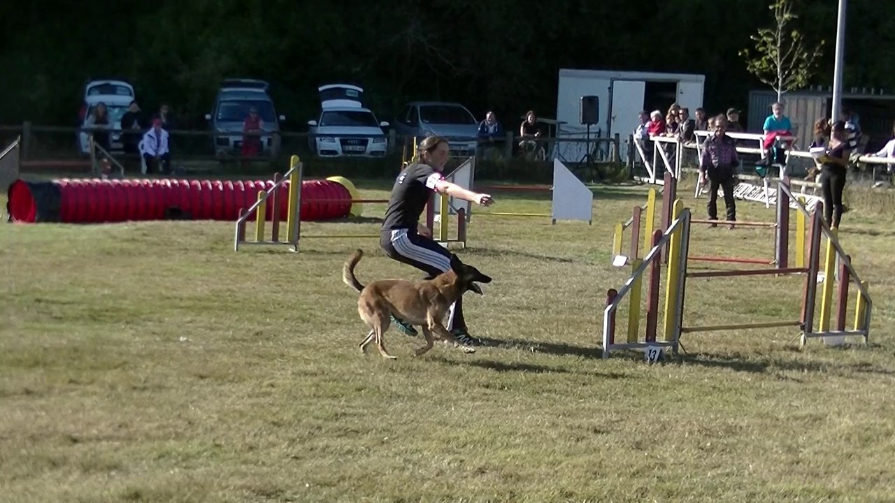 Ballan Miré oct 2014 jumping +