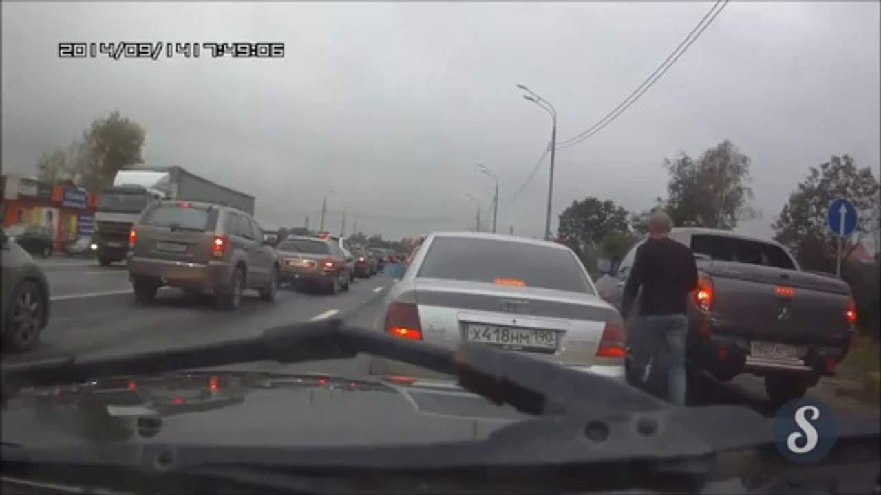 Automobiliste russe se fait calmer par un chien