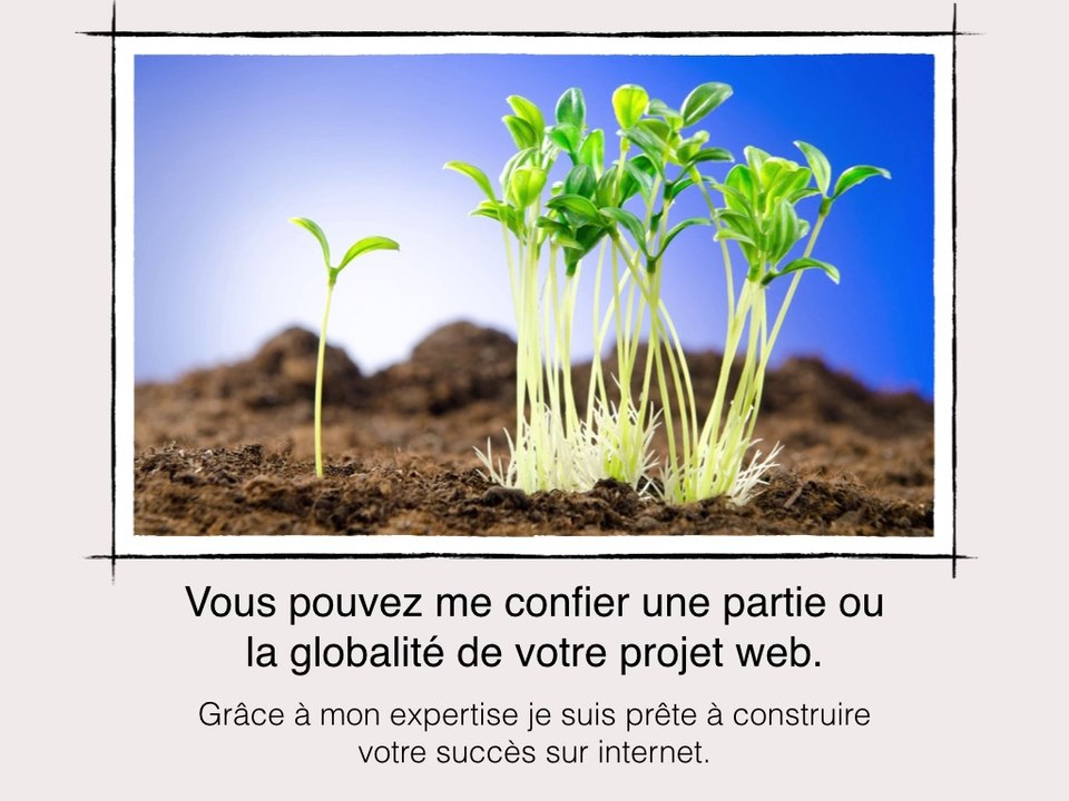 Rédaction de contenu web, seo, référencement, réseaux sociaux - WEB TARGET