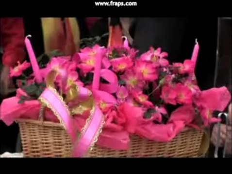 Pépinières Paul Croix : Baptême de la Rose 'Parc du Pilat'