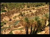 Battle of Megiddo (15th century BC) - Egypt Cradle of civilization - مصر مهد الحضارة