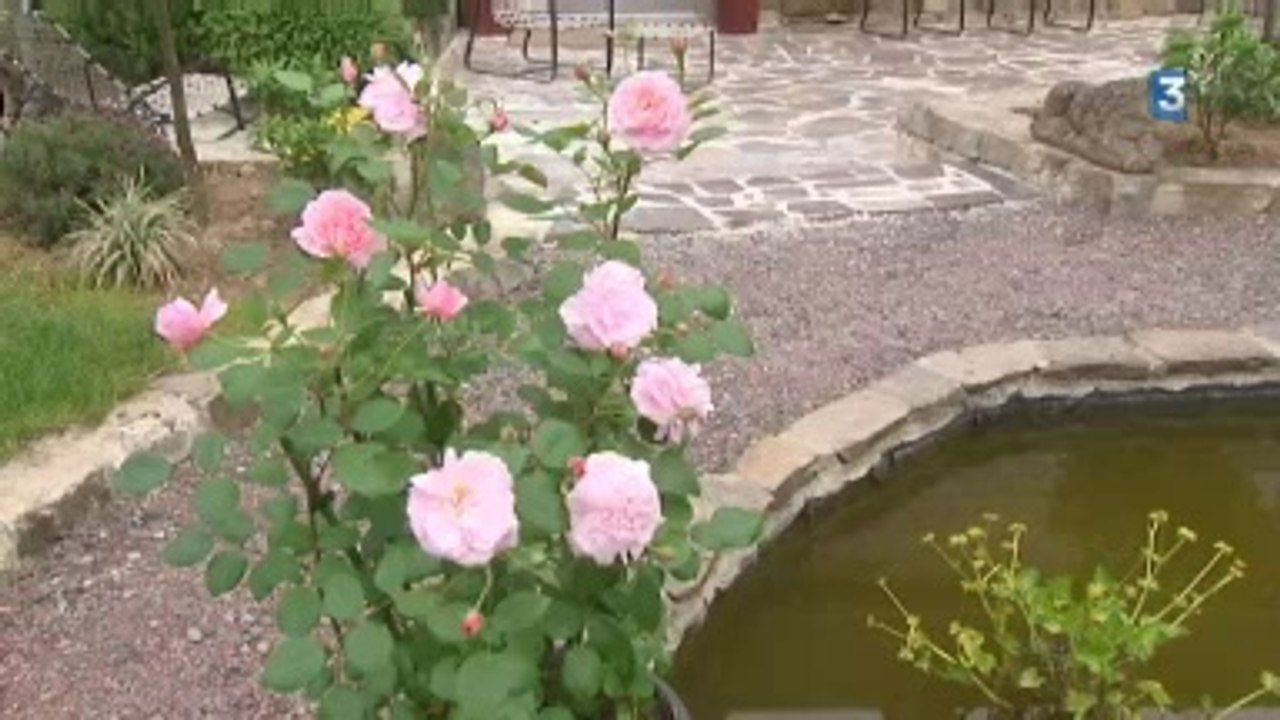 Pépinières Paul Croix : Baptême de la Rose 'Bagnoles de l'Orne'