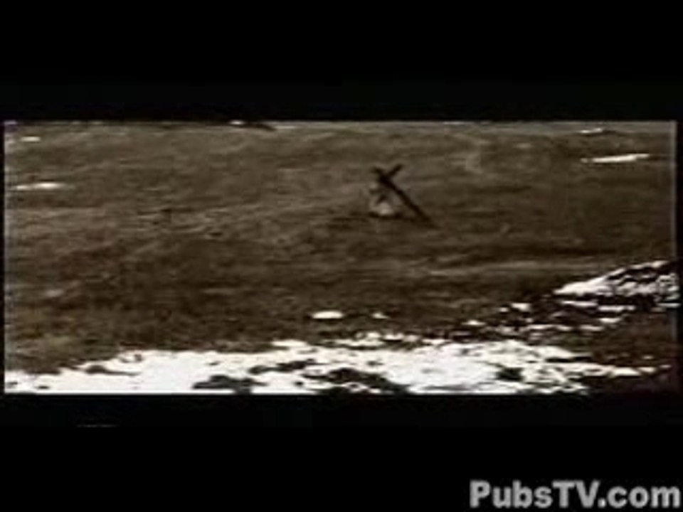 Le lapin Publivore - Stimorol