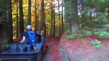 Redwood Valley Railway - riding the steam trains