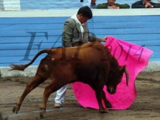 Toreros aficionados peruanos en Ecuador 2014