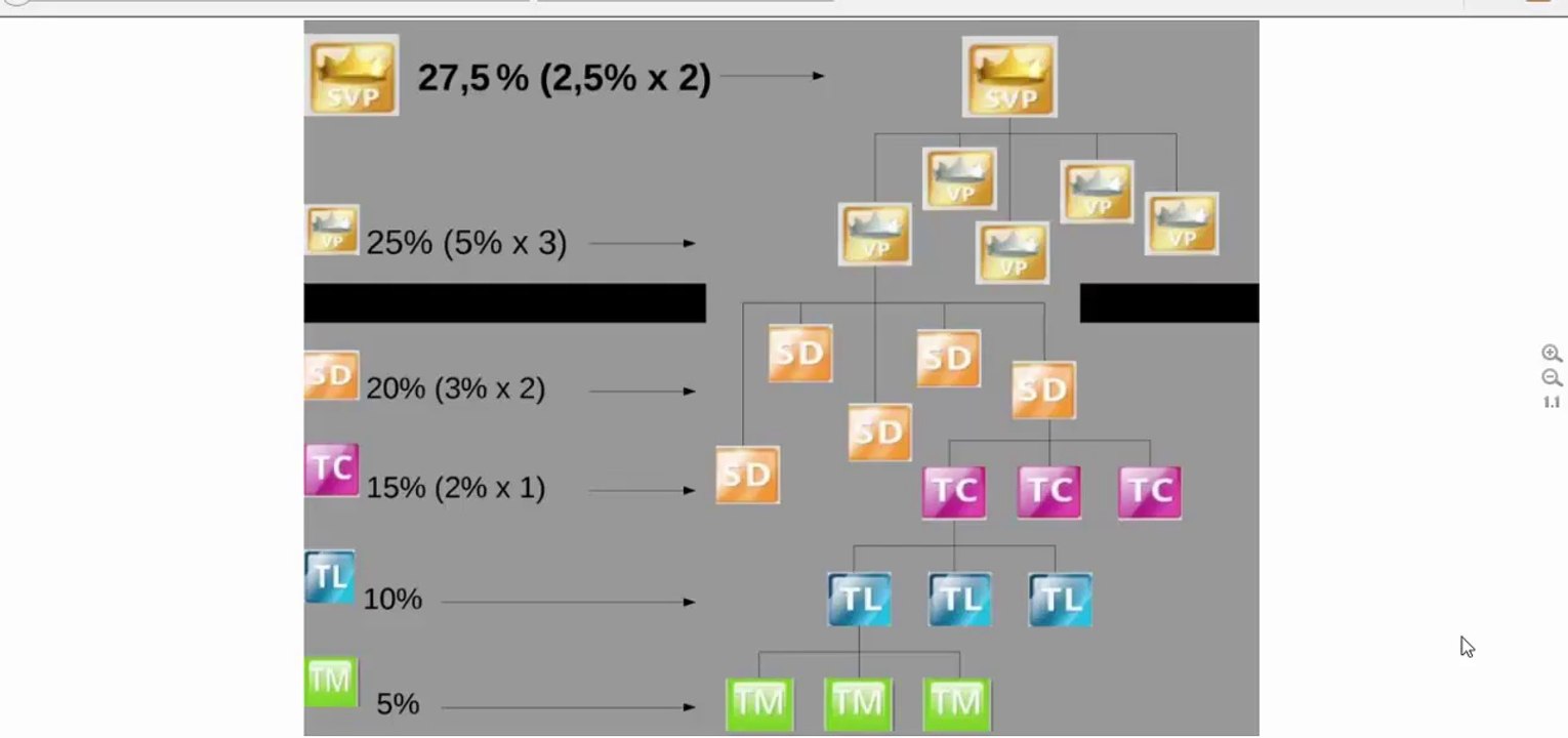 DUBLI NETWORK EXPLICACION A DETALLE
