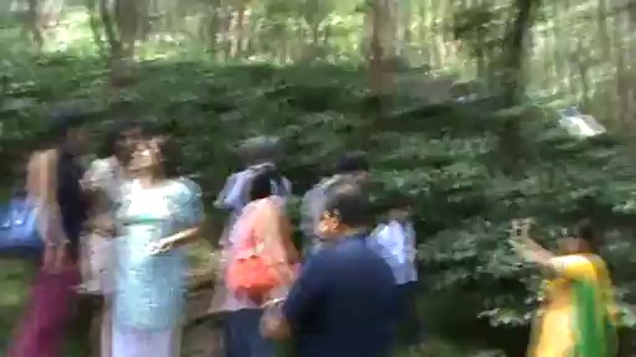 Cofee Estates en route to Araku SKMClasses Subhashish 3