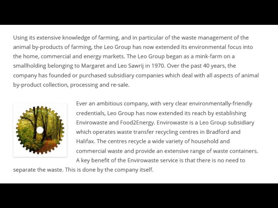 Leo Group – A Diversified Service Offering